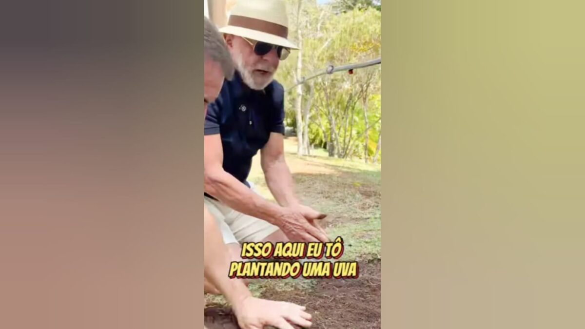 'Planto comida, não ódio', diz Lula ao plantar uvas