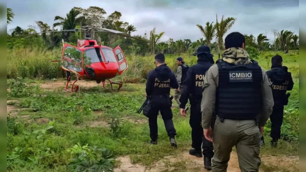 PF reduz queimadas no sul do Amazonas e mira grandes infratores