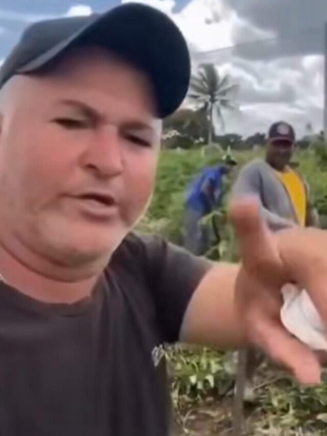 agro bolsonarista