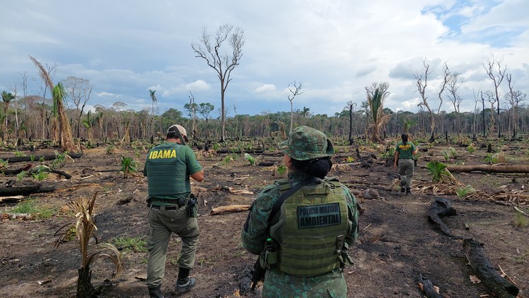 Inpe diz que queimadas no Amazonas caíram mais de 80% em agosto