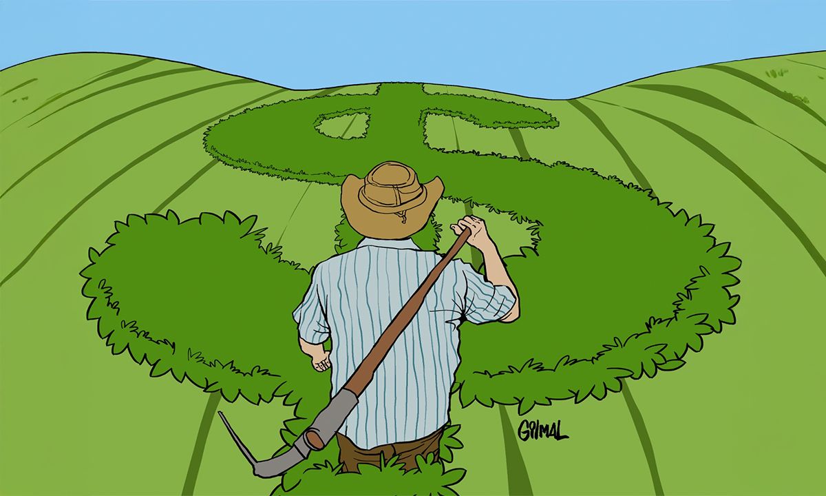 O Brasil que banca o agro: subsídio estatal bilionário para além do discurso liberal
