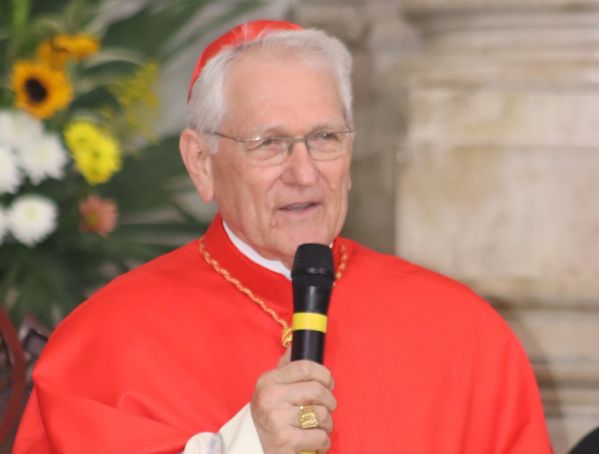 Dom Leonardo Steiner entrega carta de renúncia ao papa após completar 75 anos