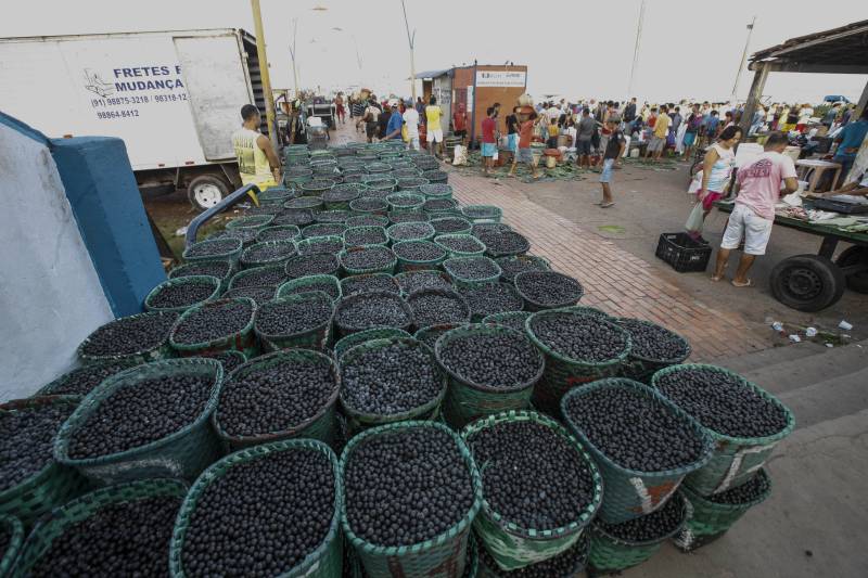COP-30: como Belém faz da feira do açaí uma atração cultural
