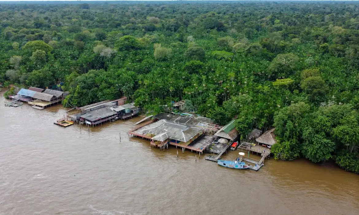 Edital seleciona entidades para atuar no combate ao desmatamento na Amazônia