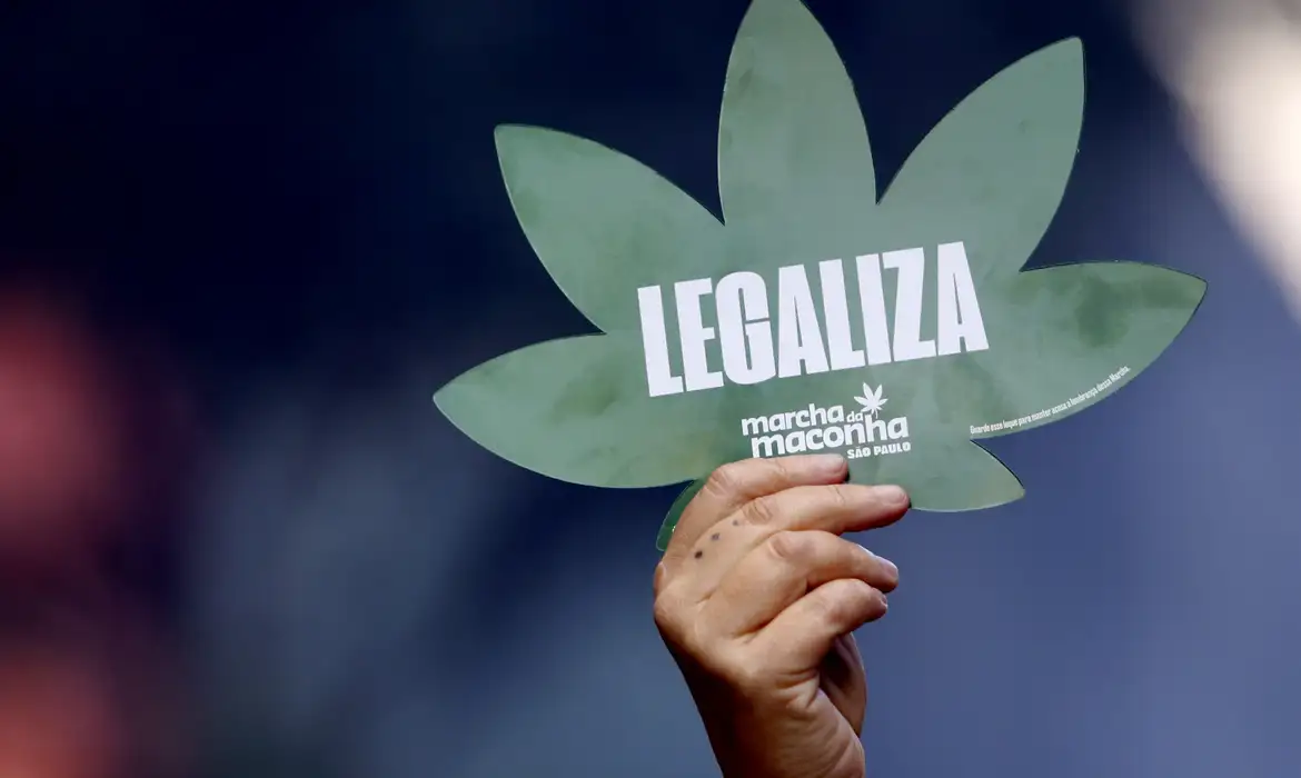 Ainda não é agora que maconha será liberada no Brasil; Senado trava