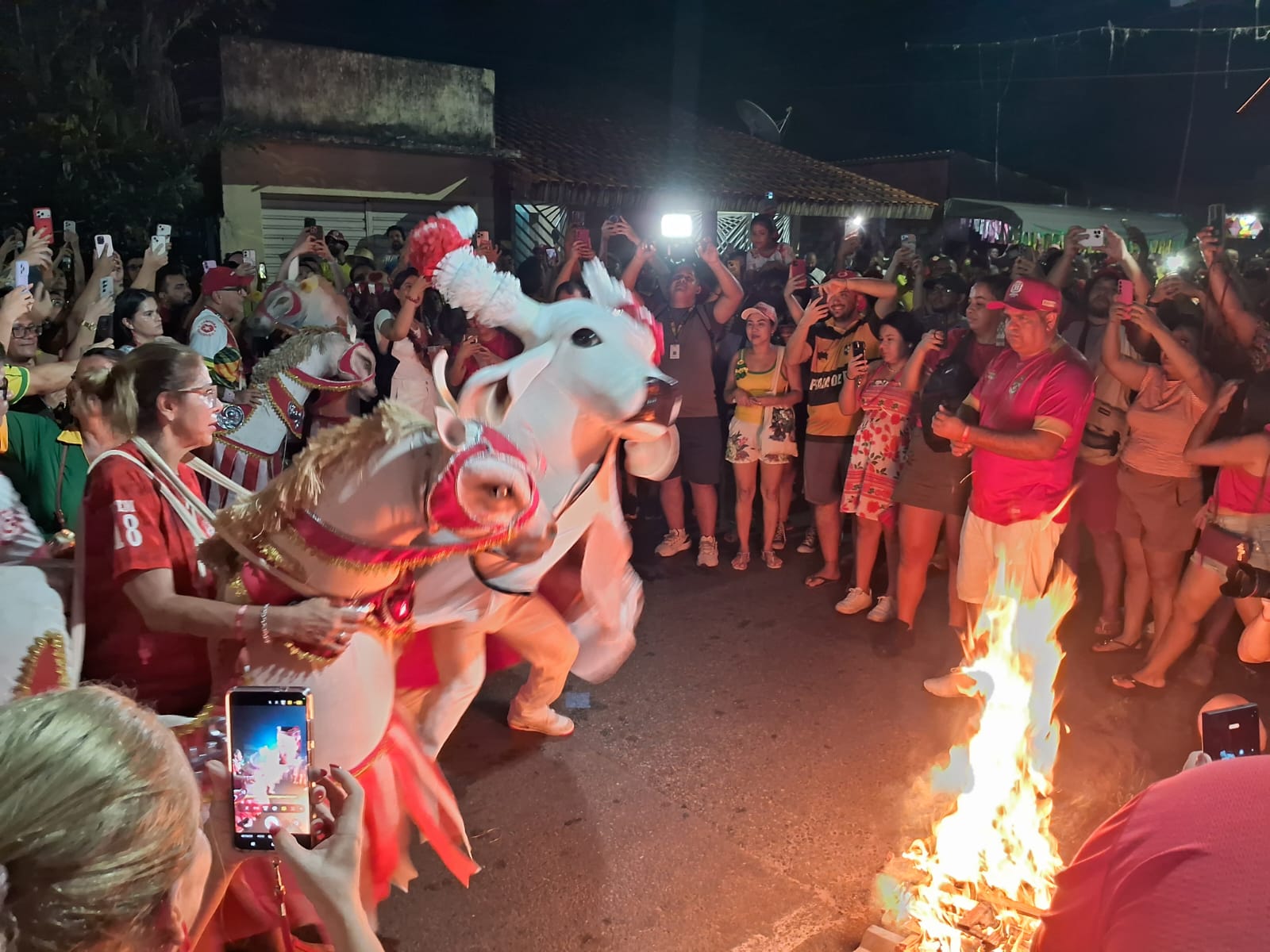 Boi Garantido paga promessa a São João com grande público